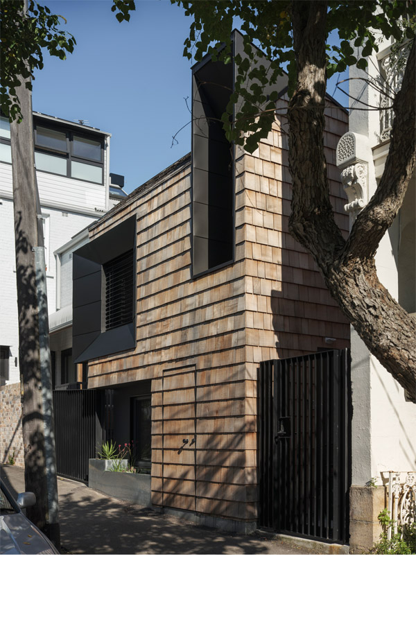 IMAGE-10.jpg