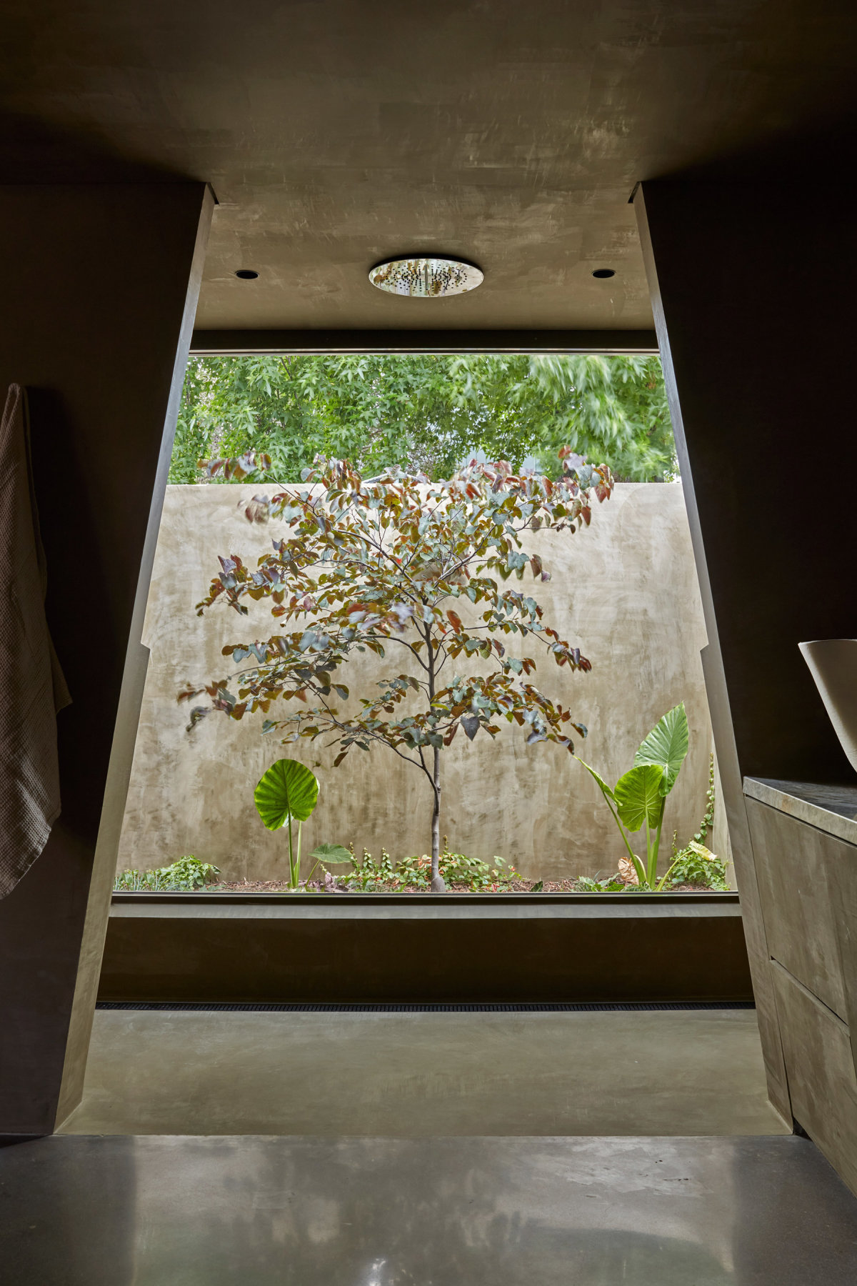 proc-house-06-1200x1800.jpg