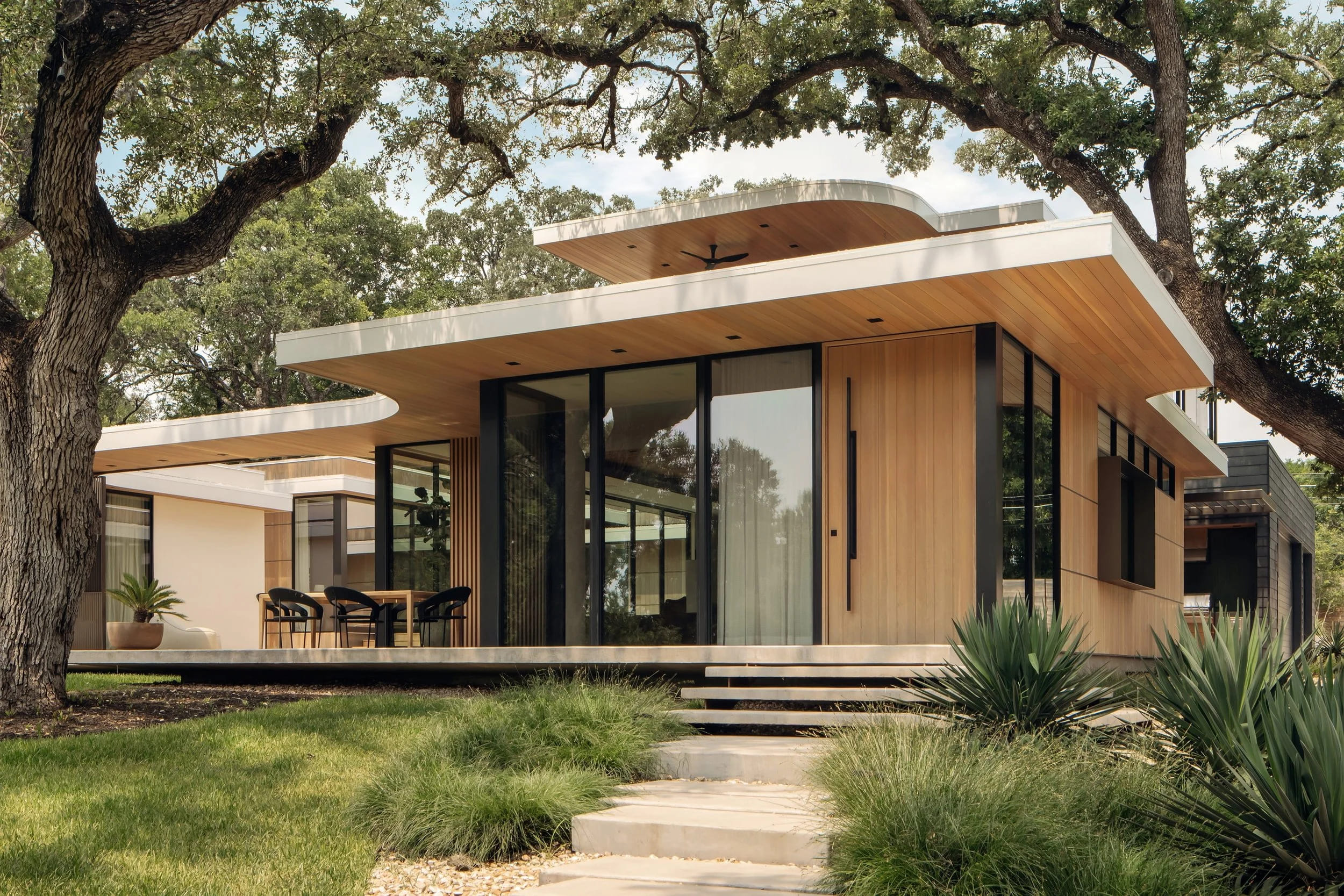 Coxist-Live Oaks 3.jpg.jpg