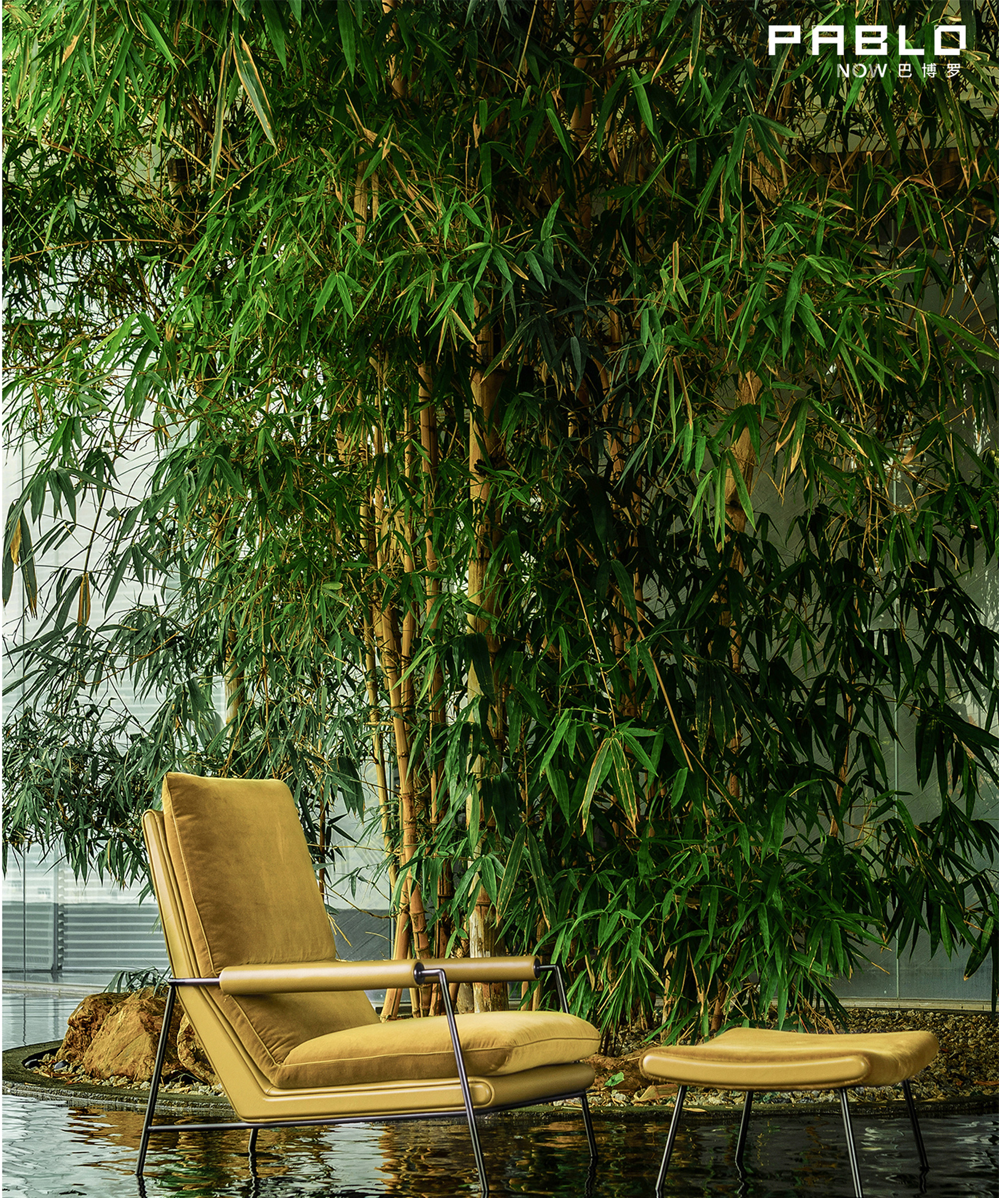 Leisure Chair APTS2986-3.jpg