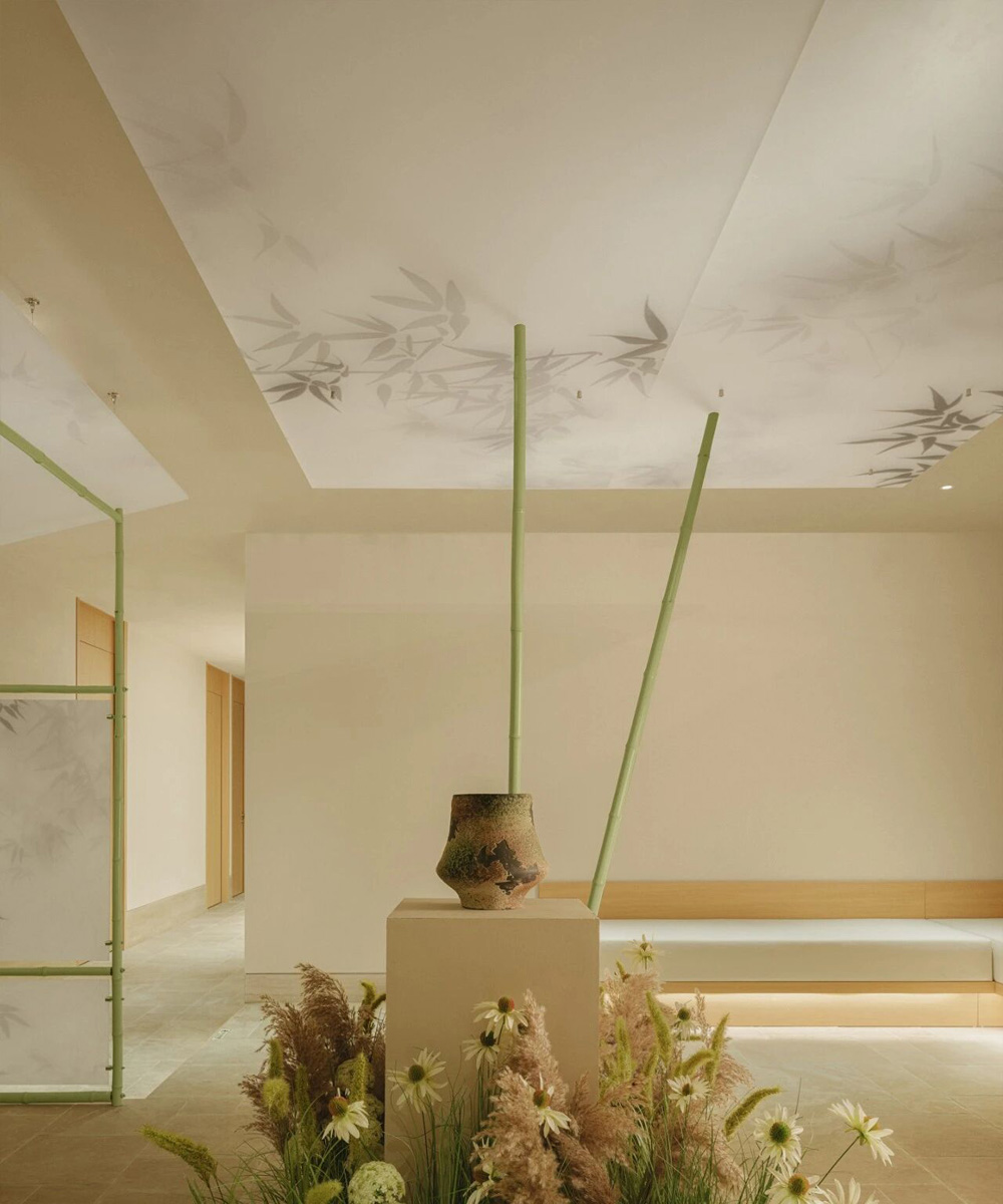 Natural Plant Series-3.jpg