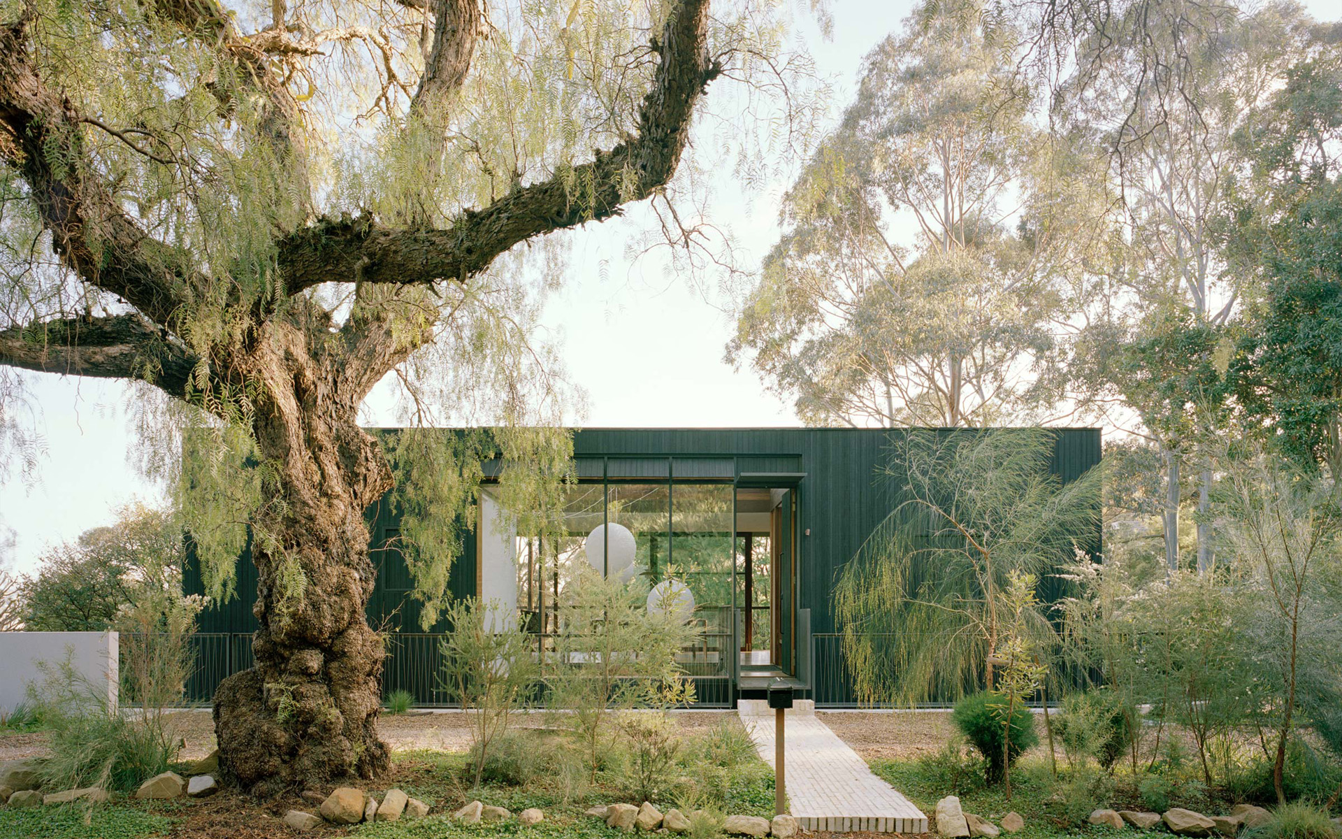 封面 Cloaked House.jpg