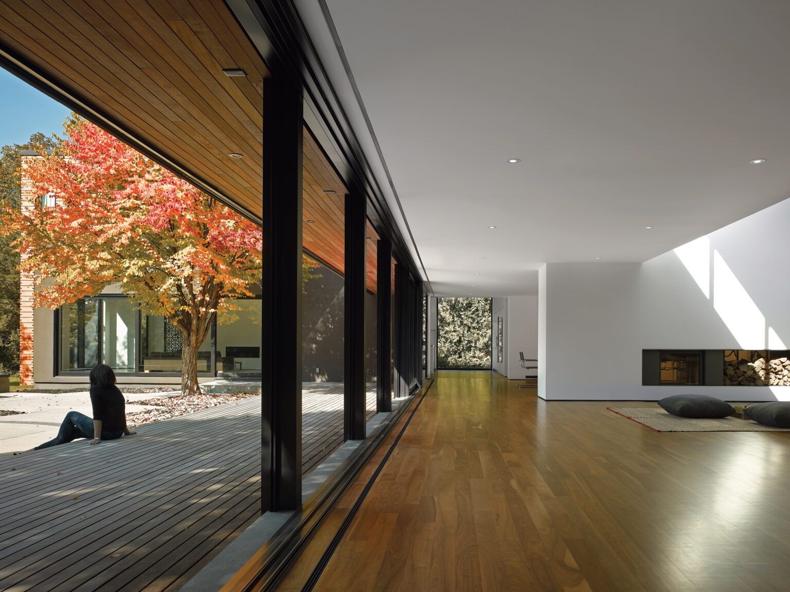 imgi_6_SNG-001_IMG_L1_Living-and-Dining-Room-Perspective-with-Person_Ben-Rahn_A-Frame-1-1536x1152.jpeg