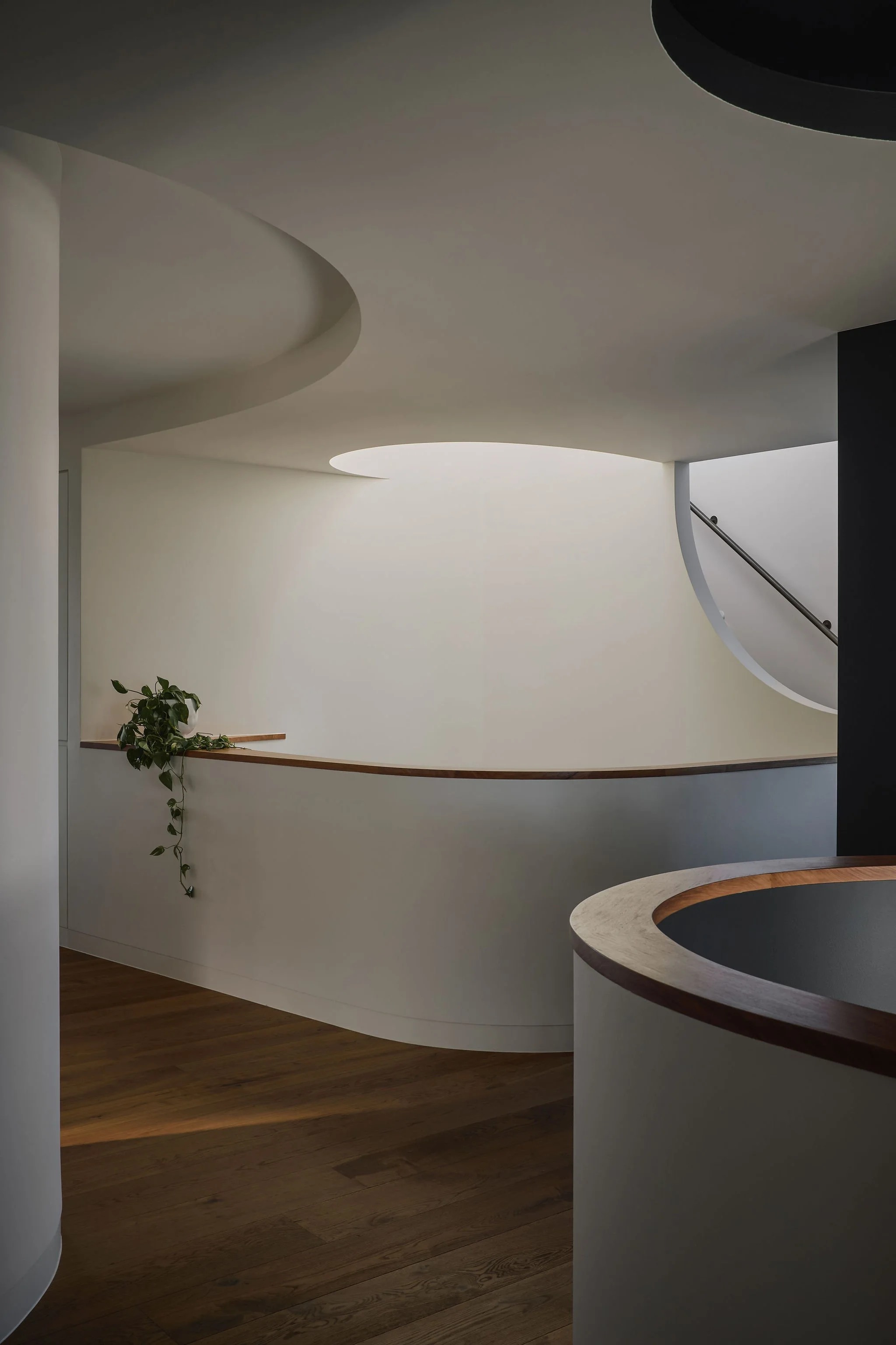 imgi_15_Justin-Humphrey-Architects-Corso-house-22_V2.jpg