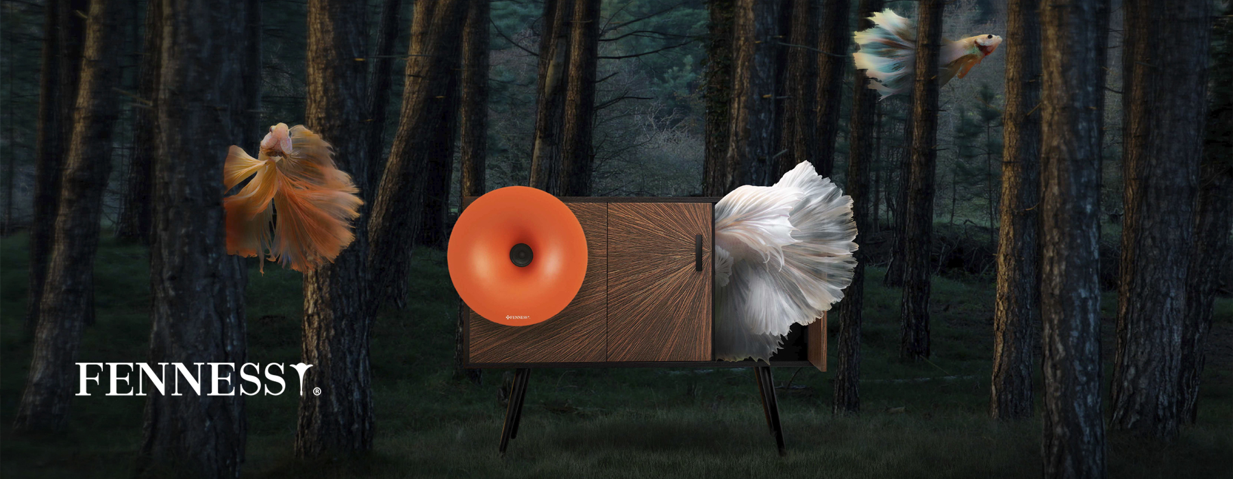 banner FENNESSY.jpg